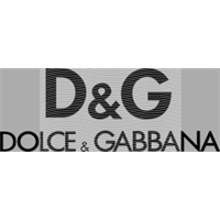 Brand Catalog-ZX 425